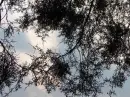 pretty nature