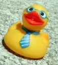 Duck geek
