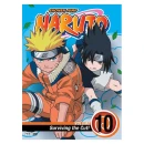 Naruto Volume 10