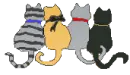 cats