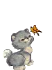 cat and butterfly