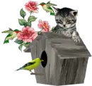 bird house