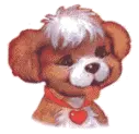 funny puppy