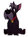wisky