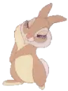 bunny 