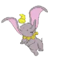 dumbo