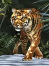 tig
