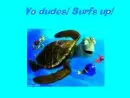 Surfs up!