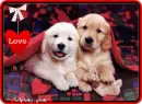 puppy love