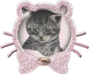 cute kitty