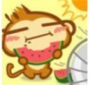 MONKEYS RULE