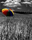 alone rainbow