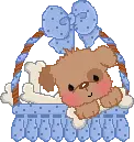Puppy in a basket