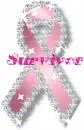 Breast Cancer Awareness Ribbon (with sparkles)- Survivor