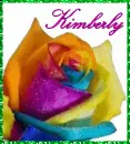 Kimberly - Rainbow Rose