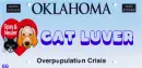 Oklahoma Tag- Cat Lover