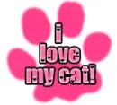 I love my cat