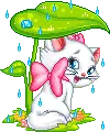 kitty marie
