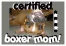 Boxer Mom!