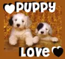 Puppy love S2