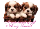 Twinkling Puppy Basket - A Cute Bunch of Gift 4 U My Friend