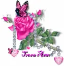 pretty Butterfly