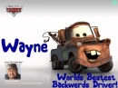 Mater- Wayne