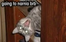 going to narnia