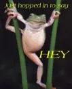 hopping in