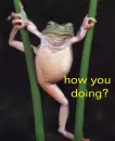 how you doing