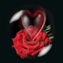 Have a nice day