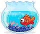 Fish Bowl