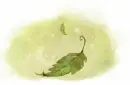 Green Leaf
