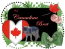 #1 Canadian Brat