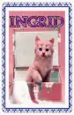 Cat-Ingrid