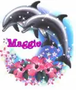 maggie dolphins