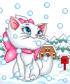 kitty Marie