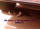 waiting for the enemy