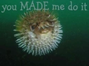 you made me