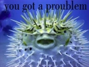 proublem