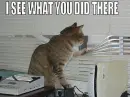 I see