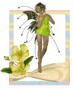 Fairy