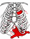 InkyHeart