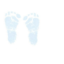 feet