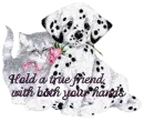Hold a true friend