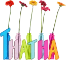 colorfulflowers~Thatha