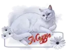 Daisy Cat Tag - Maggie