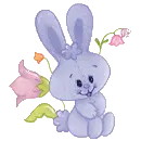 purple bunny