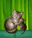 kitty love