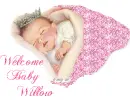 Willow